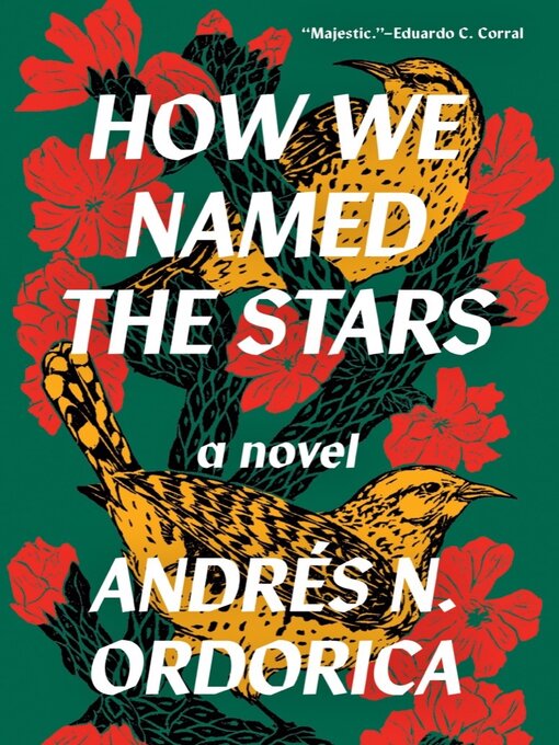 Title details for How We Named the Stars by Andrés N. Ordorica - Available